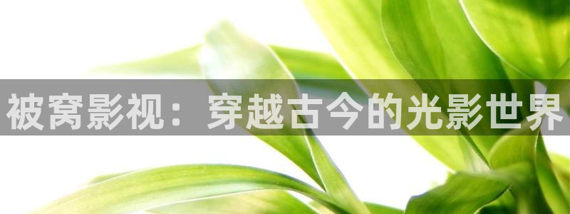 小巷人家星辰影院在线观看：被窝影视：穿越古今的光影世界